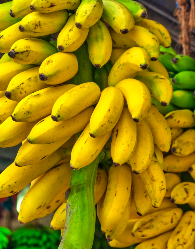 Lots of bananas grouped together.