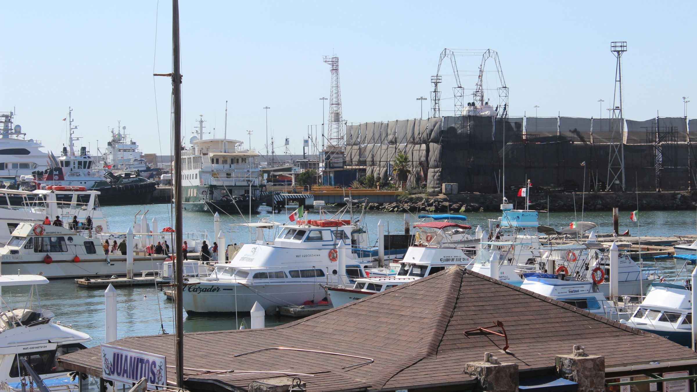 A marina with numerous white boats sporting the Mexican flag in Ensenada, Baja California, Mexico.